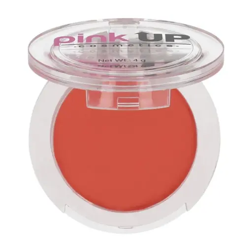 Blush | Rubor Pink Up